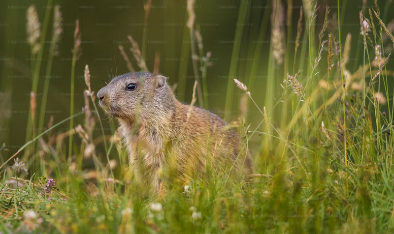 kamakura.go #6 LT発表スライド